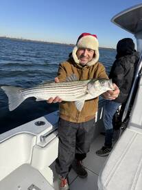 New York City Report Photo 1