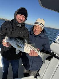 Bass, fluke and sharks today