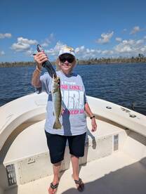 Started slow until tide turned