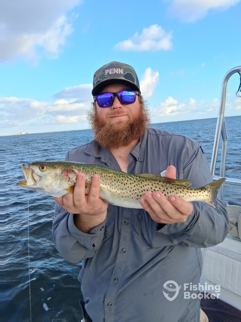 Baffin Bay Report Photo 0