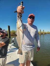 Mississippi River Report Photo 2