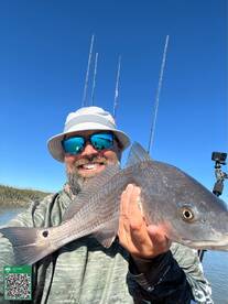 Redfish on the mud flats  