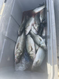 Pottsboro Report Photo 3