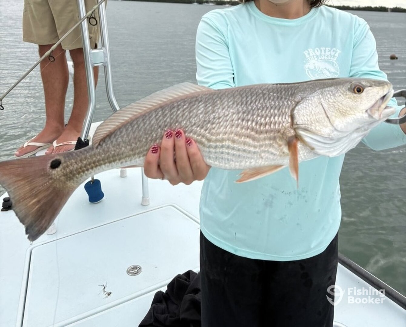 St. Petersburg Report Photo 0