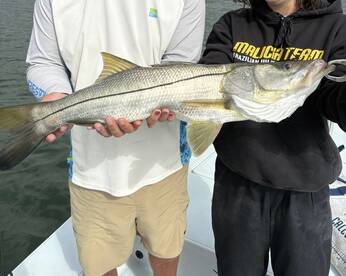 St. Petersburg Report Photo 1