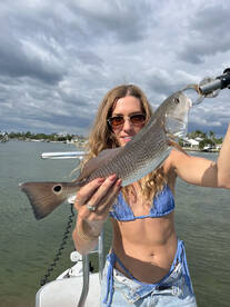 St. Petersburg Report Photo 1