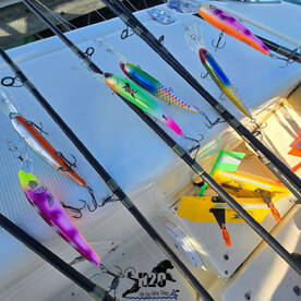 Catawba Island Report Photo 4