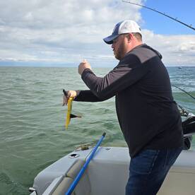 Catawba Island Report Photo 3