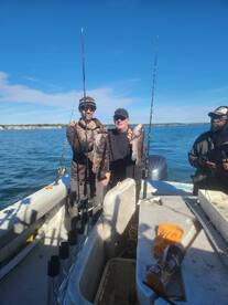 Mastic Report Photo 1
