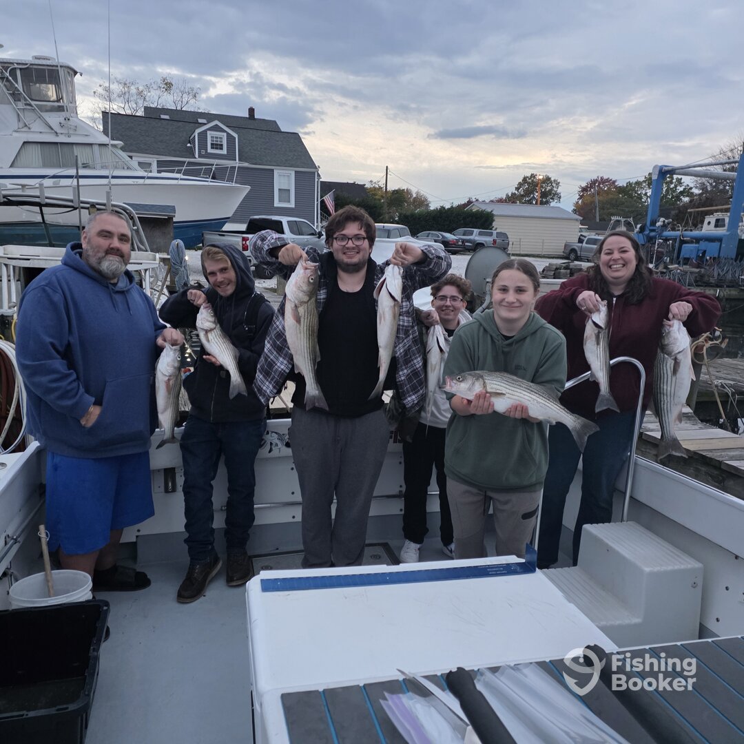 Baltimore Report Photo 0