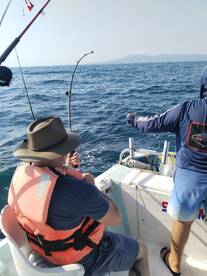 Puerto Vallarta Report Photo 2