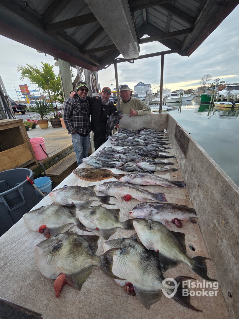 Ocean City Report Photo 0
