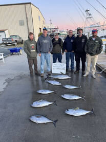 Fall tunas are starting to show up