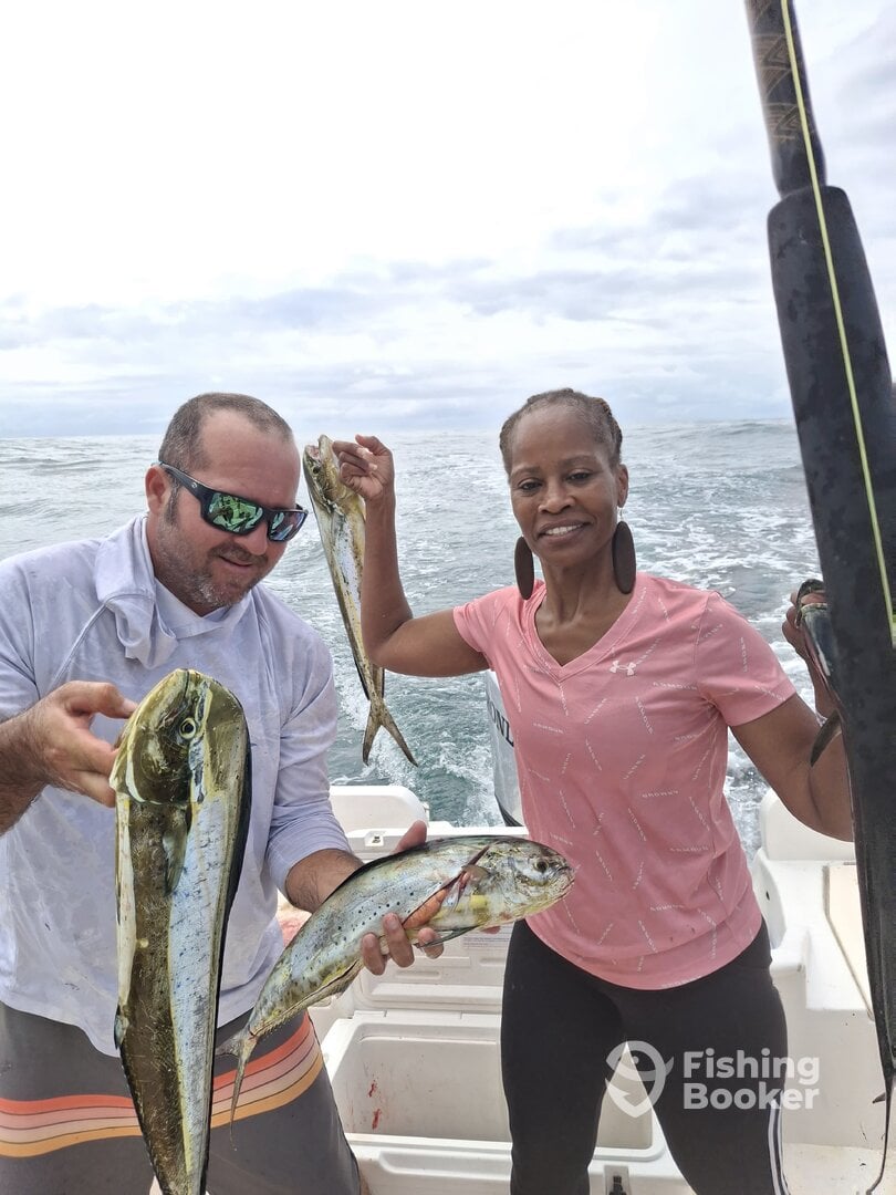 Los Sueños Report Photo 0