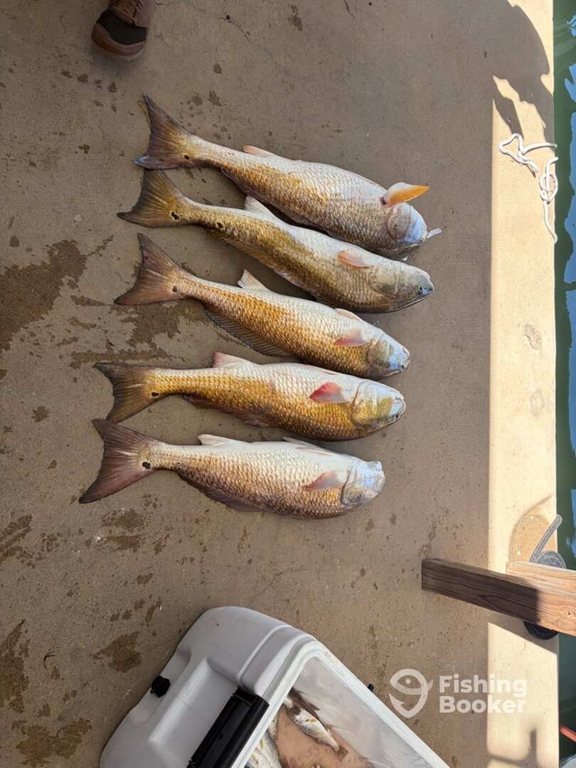 Galveston Bay Report Photo 0