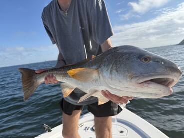 Edisto Beach Report Photo 2