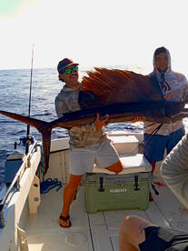 San Jose del Cabo Report Photo 2