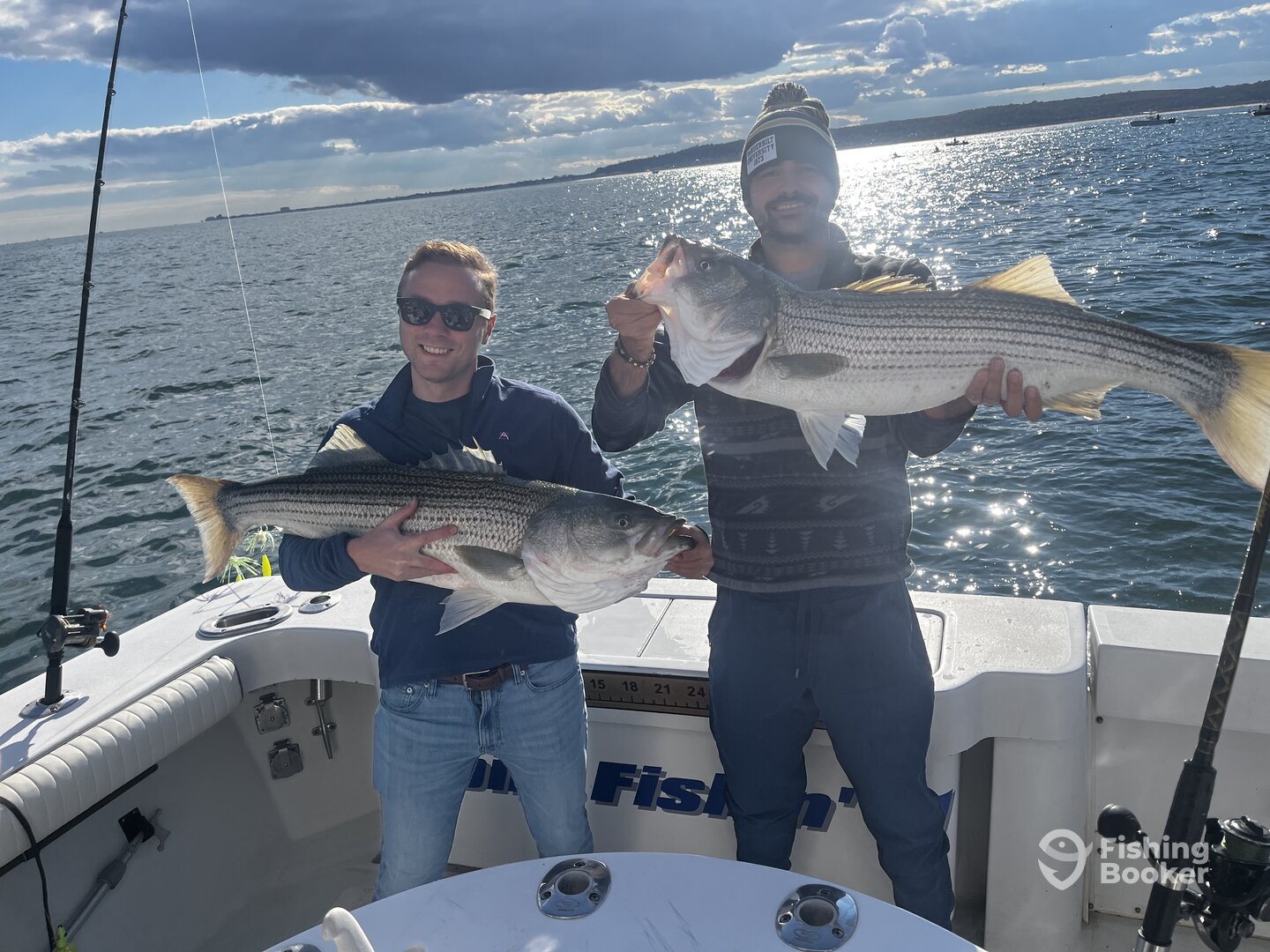 New York City Report Photo 0