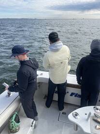 New York City Report Photo 1