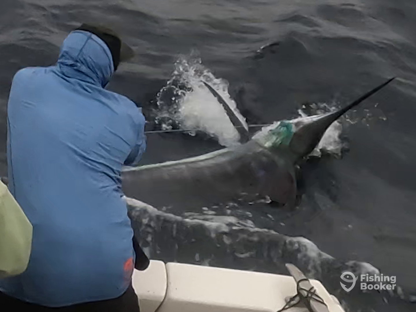 Sydney Report Photo 0