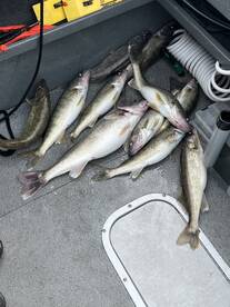 Lake Erie Report Photo 1