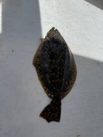 Hitchcock Report Photo 1