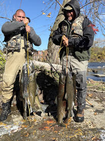 Pulaski Report Photo 1