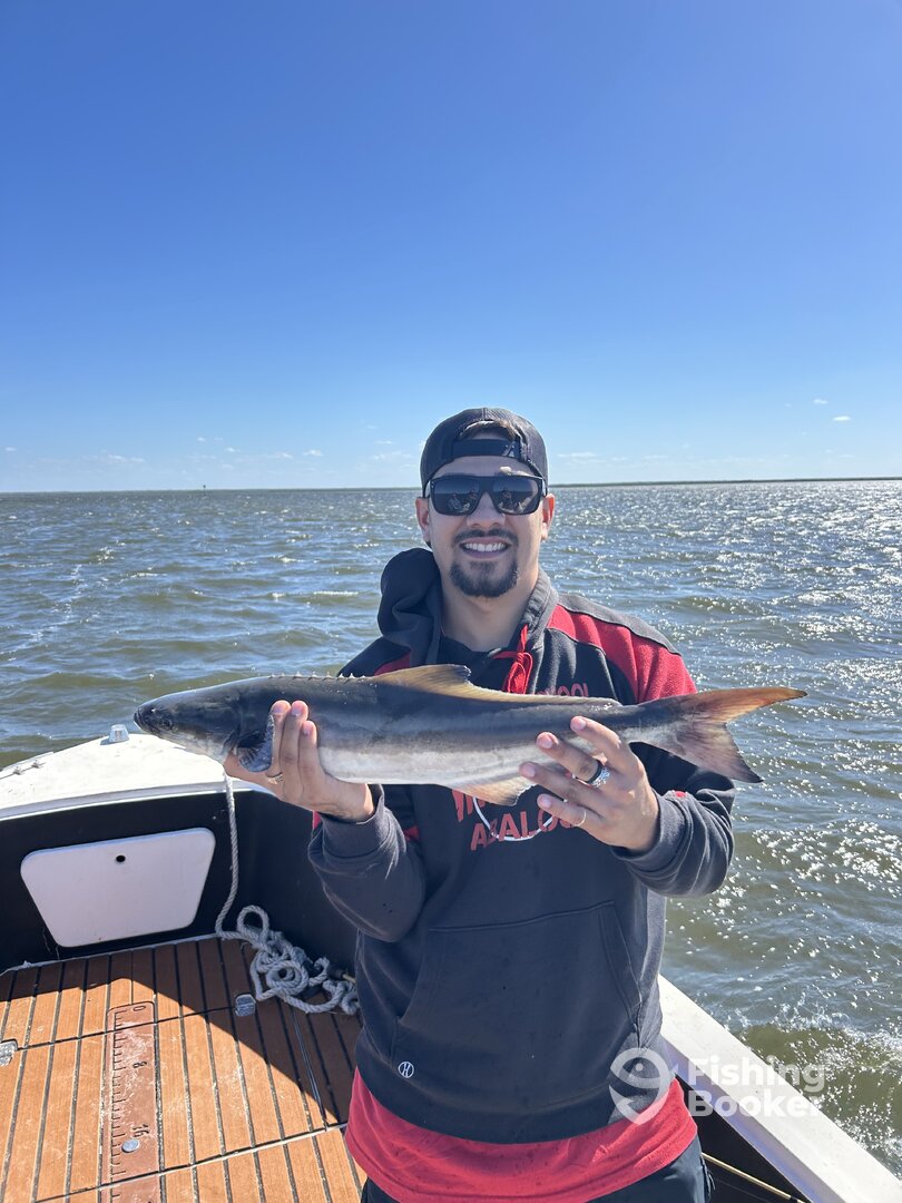 Spring Hill Report Photo 0