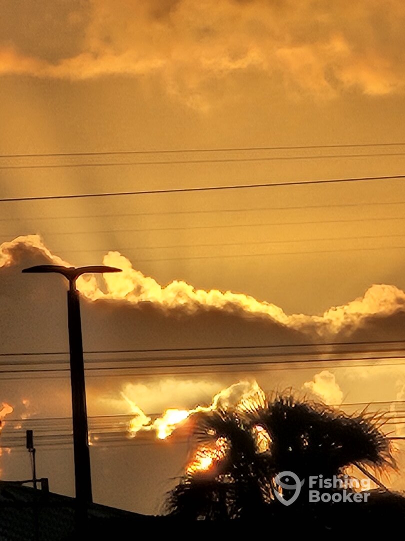 Fort Lauderdale Report Photo 0