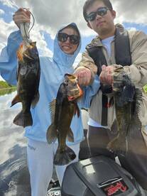 Fort Lauderdale Report Photo 1