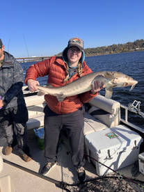 Minnesota Report Photo 2