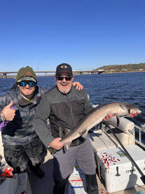 Twin Cities Report Photo 3