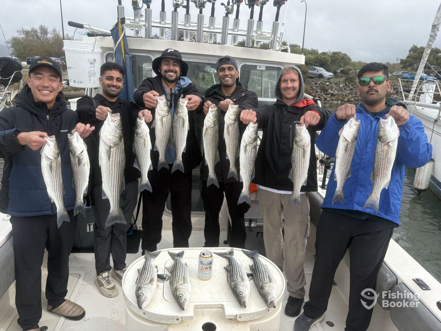 Berkeley Report Photo 0