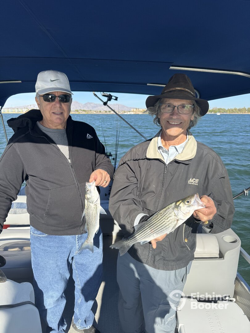 Lake Havasu City Report Photo 0