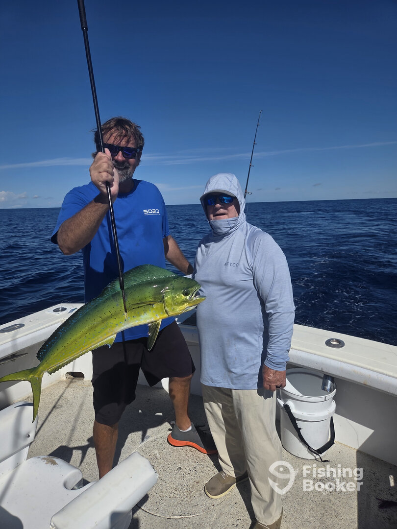 Islamorada Report Photo 0