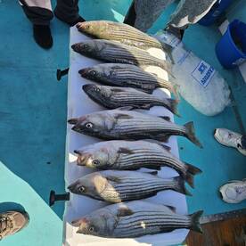 Chesapeake Beach Report Photo 2