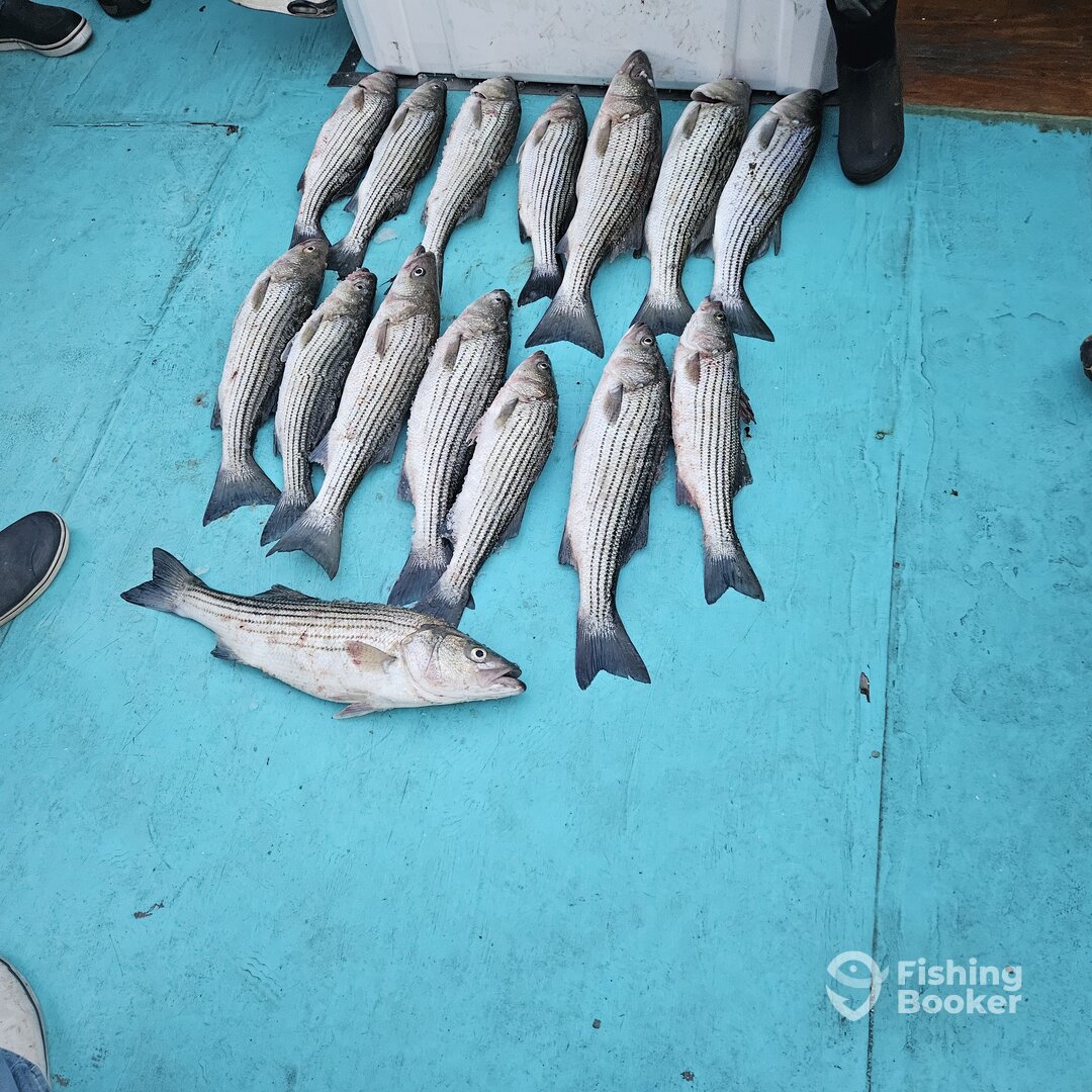 Chesapeake Beach Report Photo 0