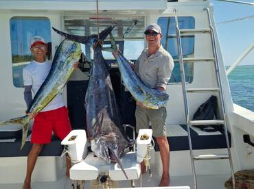 A marlin and 2 big bulls