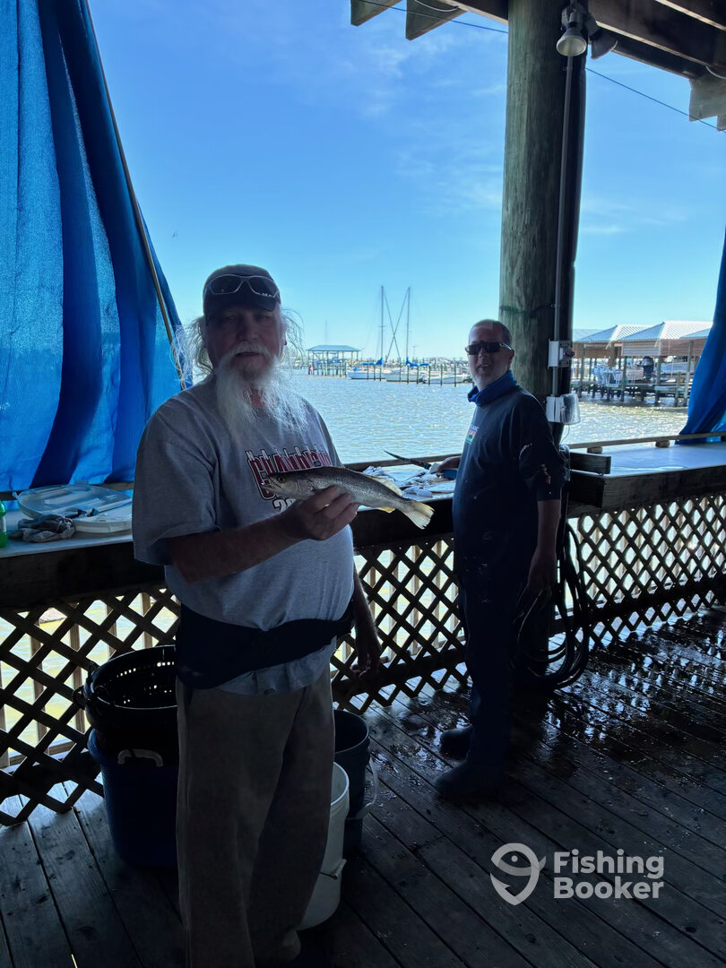 Pass Christian Report Photo 0