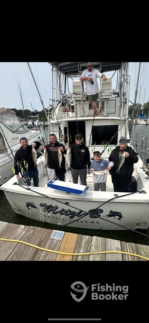 Maryland Report Photo 0