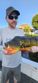 West Palm Beach Report Photo 2