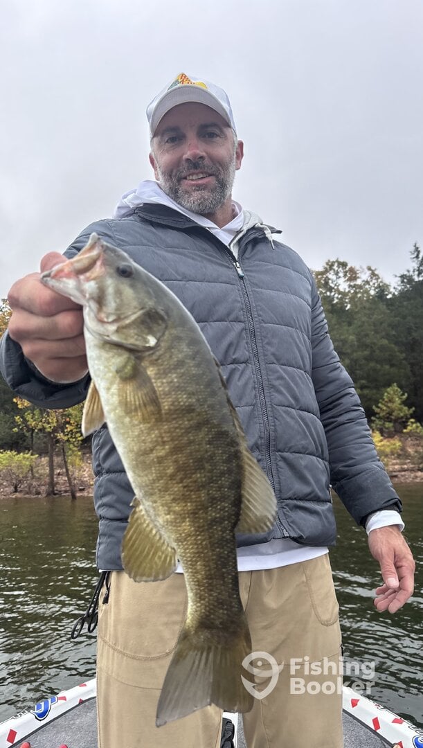 Branson Report Photo 0