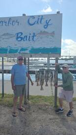 San Jose Island Report Photo 4