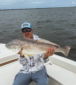 Wilmington Island Report Photo 3