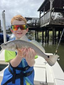 Wilmington Island Report Photo 4