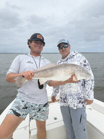 Savannah Report Photo 2