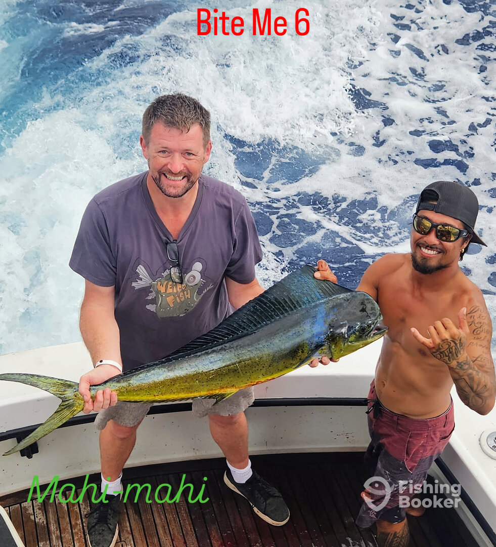mahimahi
