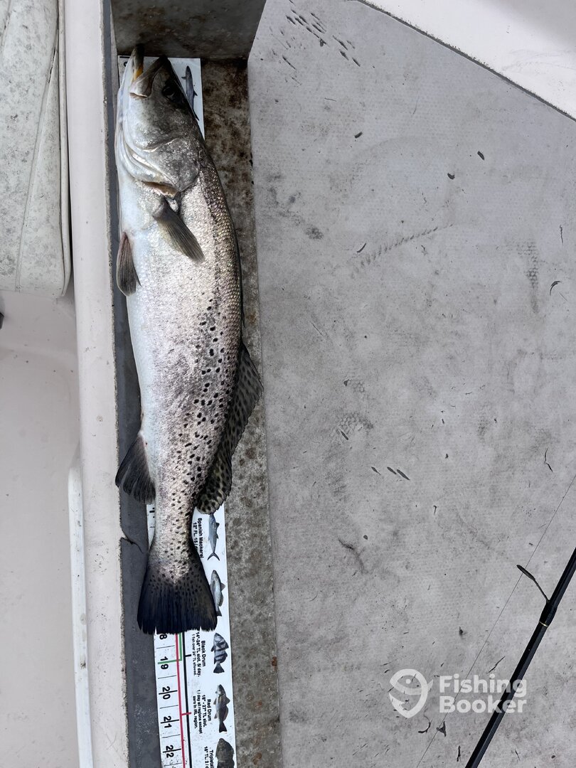 Mayport Report Photo 0