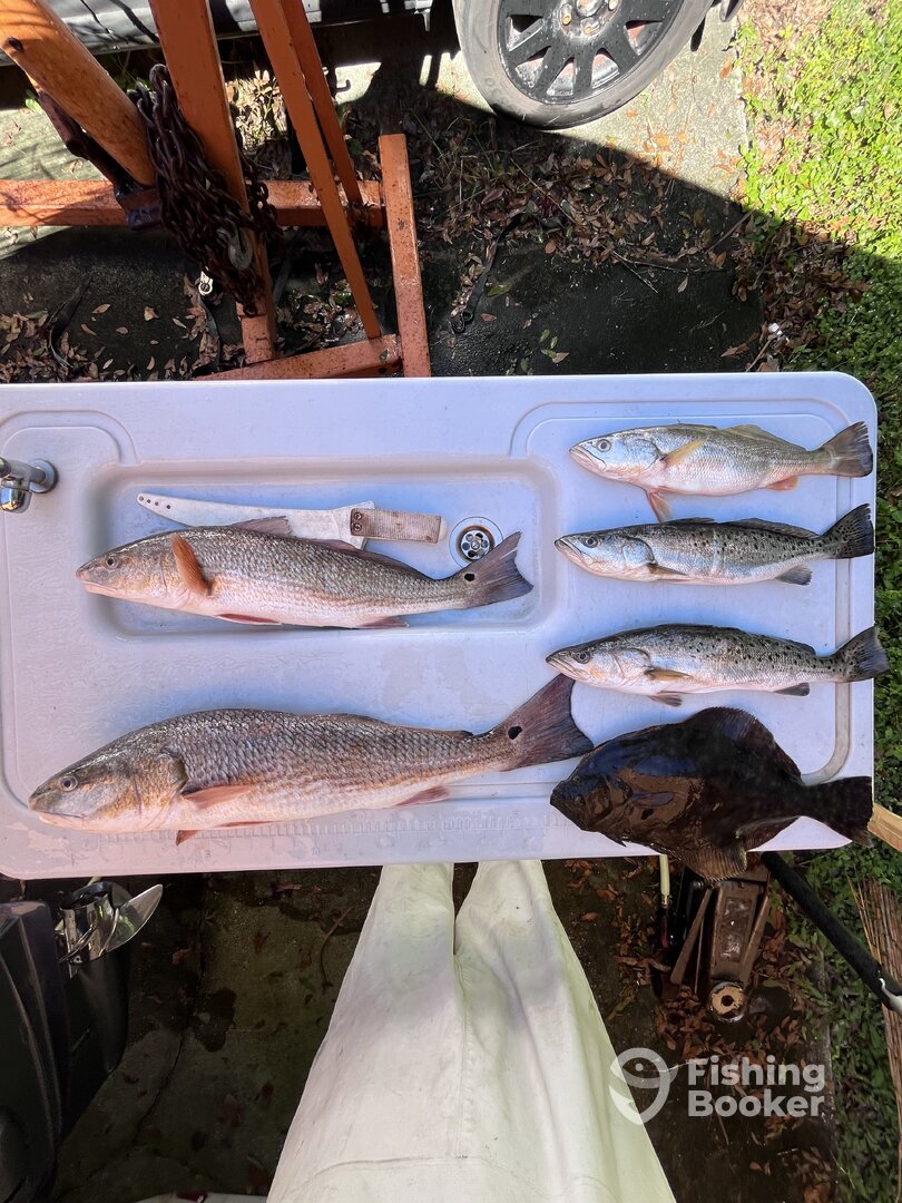 Jacksonville Report Photo 0