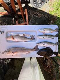 Fall Fishing at its Finest